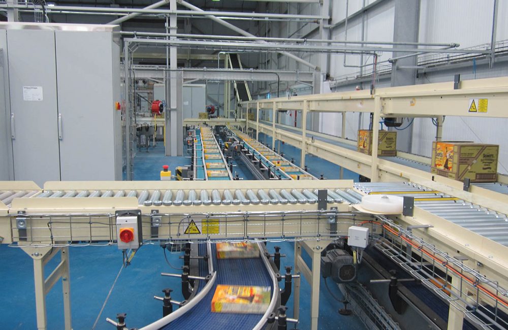 Packing Hall Conveyor System
